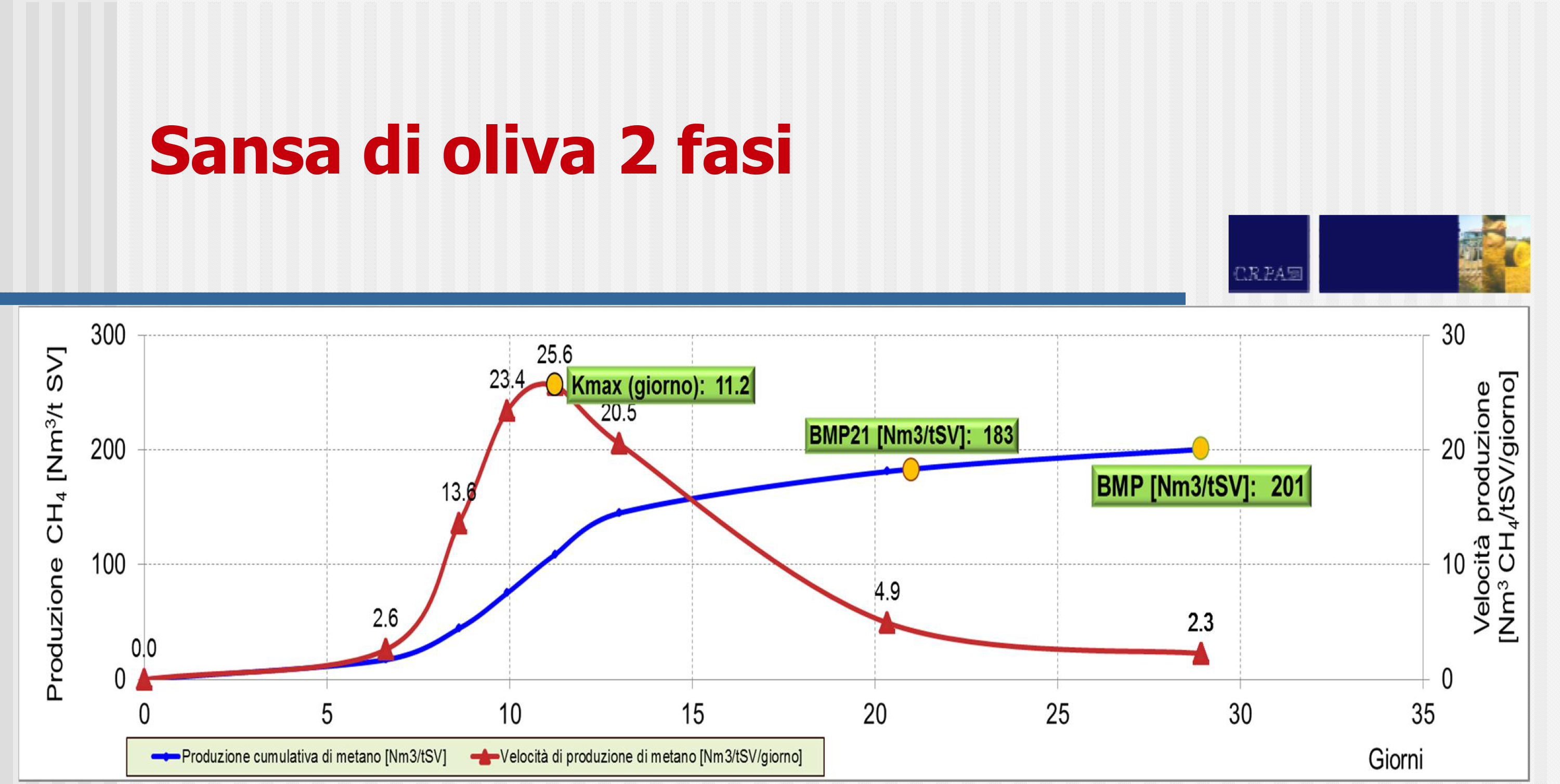 Valore energetico biomasse