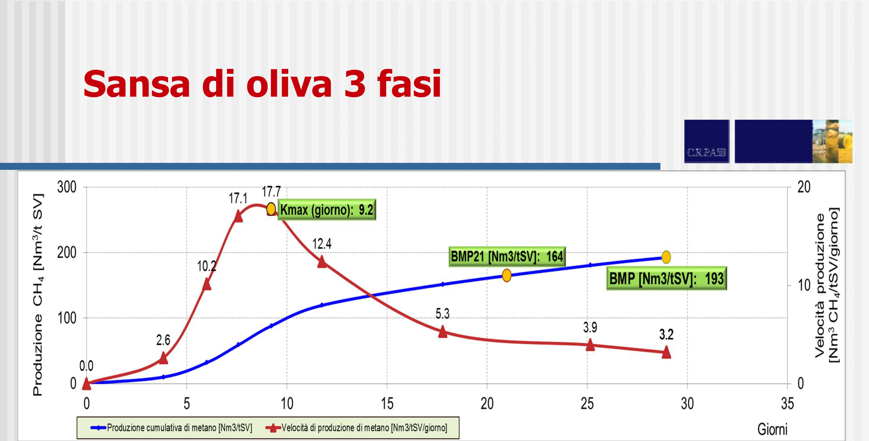 Valore energetico biomasse